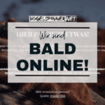 Wir sind bald online!