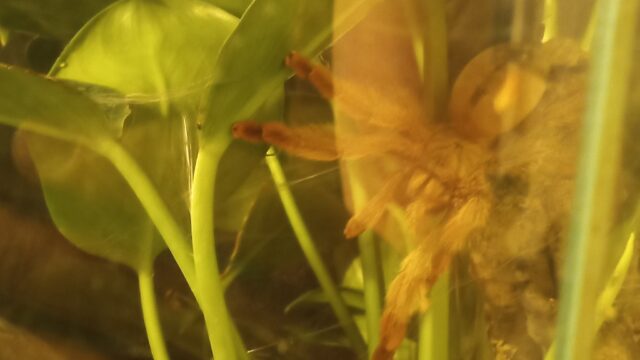 IMG_20250703_012515_524