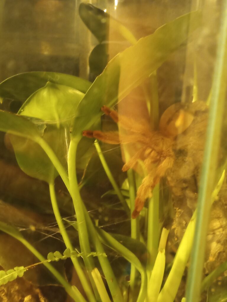 IMG_20250703_012515_524