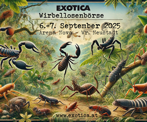 EXOTICA Wien