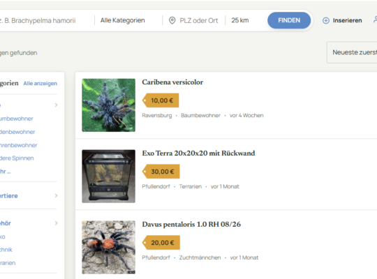 Vogelspinnen Kleinanzeigen Markt bei Vogelspinner.net